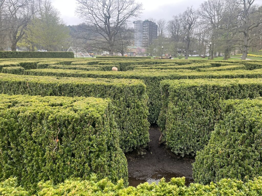 Slottsskogen Göteborg, kul labyrint i buskar
